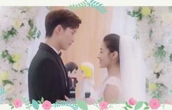 短剧闪婚后戏精夫妻掉马忙——王燕飞的故事