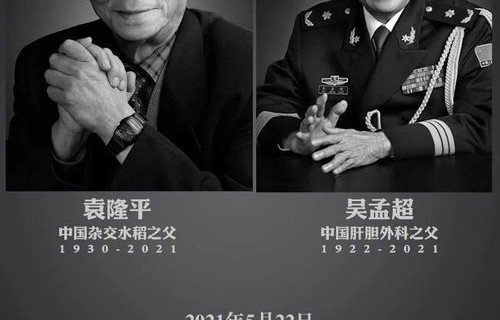 两位抗癌网红相继离世，一次深情的对话与永恒的怀念