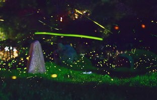 漫天星辰下的浪漫之旅——短剧短剧漫天星辰都是你的精彩世界