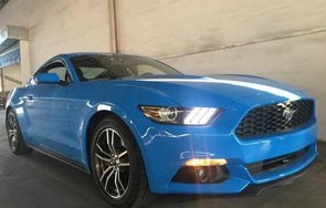 福特野马官方网站(野马2024款价格)