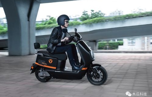 十大不建议购买的电动车品牌(十大电动车品牌排名)