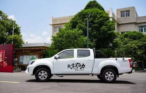 五十铃哪一款皮卡最好(丰田皮卡10万左右四驱柴油车)