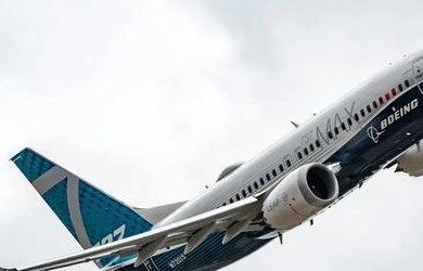 波音737-800机型事故，韩国与荷兰的共同遭遇