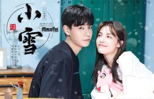 短剧离婚后我让前夫跪地求饶——百集情感纠葛与人生蜕变