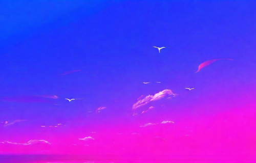 2022最火手机壁纸全屏（2022最火手机壁纸全屏风景）