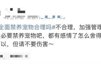 物业通知禁养宠物，人宠关系如何妥善处理？