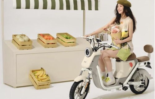 电动车十大名牌排名(四轮电动车十大名牌排名)