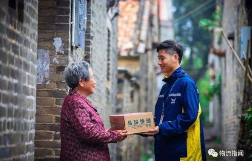 短剧之旅，成为快递员后，我拥有了七个老婆的奇幻故事（共96集）