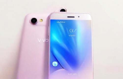 vivox9plus（vivox9plus参数配置详情）