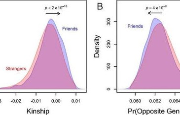 好朋友——基因挑选出的亲人