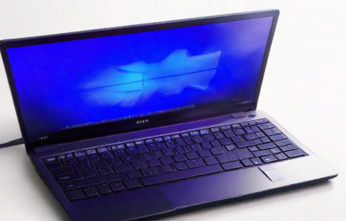 全国前十名笔记本（电脑笔记本前十名）