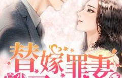 陆少的私宠罪妻，一段甜蜜而曲折的都市爱情故事