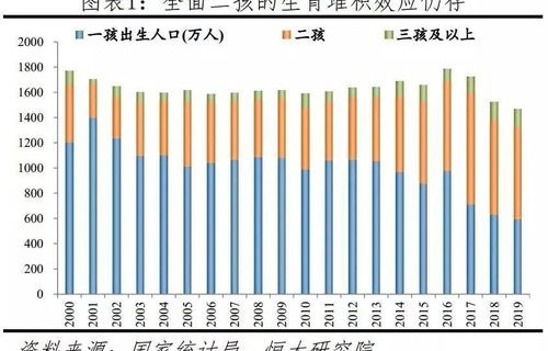 多地官宣出生人口反弹，社会现象的深度解析