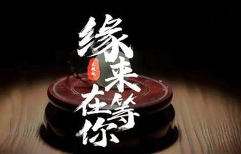 短剧傲世的魅力与影响