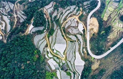 任泽平，倒车接人后再出发——以智慧与勇气引领新征程