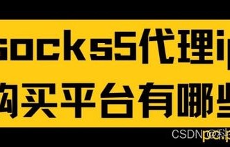 sock(socks5代理ip购买)