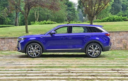 奔腾t99多少钱（奔腾t99多少钱 自动挡）