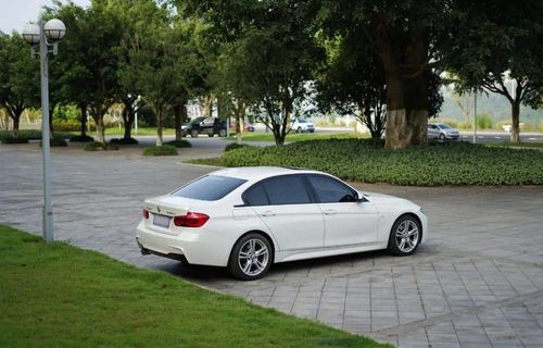 宝马330li(宝马330li油耗多少真实油耗)