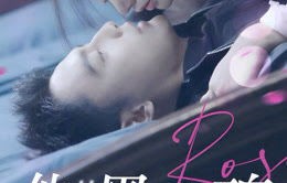 短剧他的黑玫瑰，又疯又娇——81集的魅力之旅