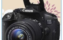 佳能单反相机哪款好(佳能单反相机哪款好用)