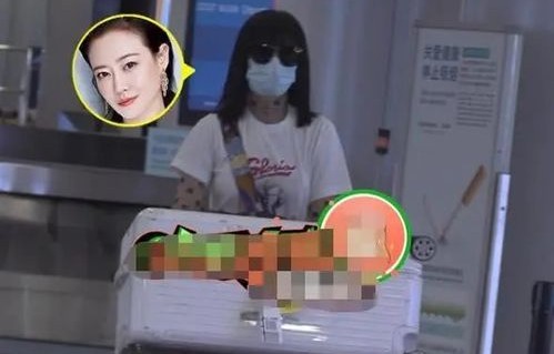 短剧战总的隐婚娇妻之甜蜜的隐秘