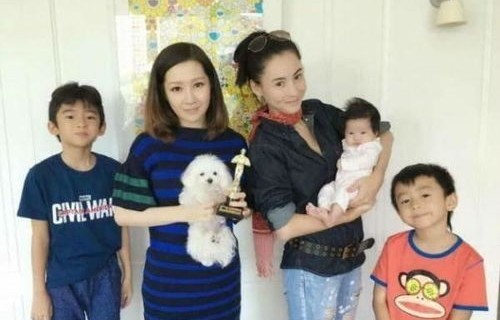 张柏芝大儿子与年轻时的谢霆锋，相似的基因与家族的传承