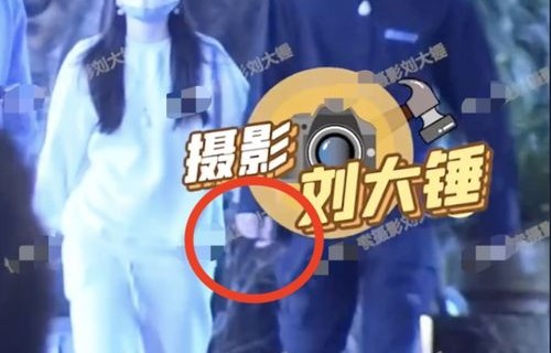 短剧锦鲤六岁半——黄彤彤的成长之旅