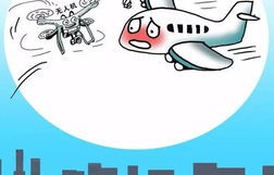 广东奥体中心飞机坠落事件，谣言的传播与真相的探寻