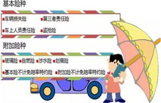 车辆必买的4个险(车辆必买的4个险种)