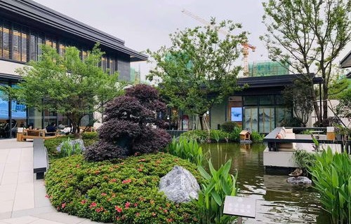 漫步者官网商城（漫步者官网旗舰店地址）