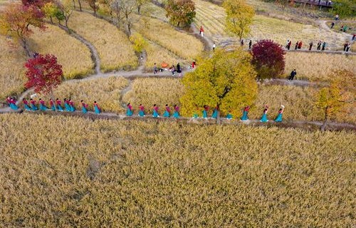 这就是秋天里的大美中国