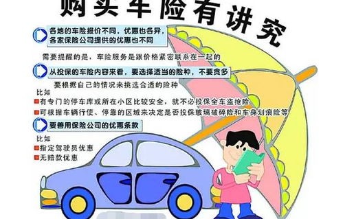 汽车保险购买(汽车保险购买地点有要求吗)