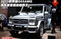 奔驰g65报价及图片(g65和g63有什么区别)