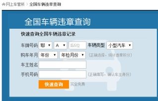 机动车违章查询官网(机动车违章查询网上查询)
