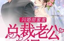 短剧总裁，闪婚老公的甜蜜挑战