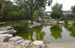 联想乐phone桌面(联想乐桌面app)