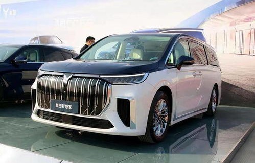 东风岚图汽车图片及价格(东风岚图油电混合汽车)