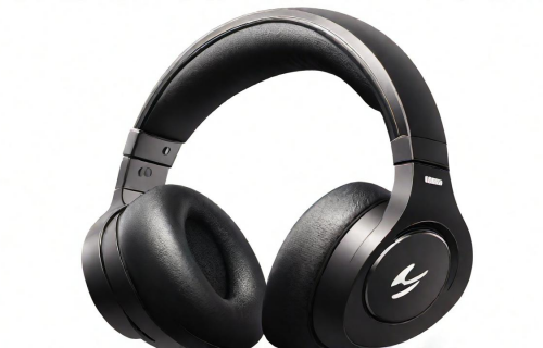 耳机品牌排行榜前十名（电脑耳机品牌排行榜前十名）