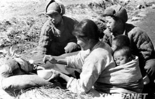 援俄朝鲜部队的实力与战斗力分析