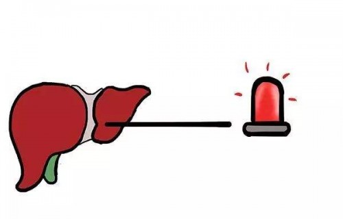 中医视角下的健康警示，急性子的人易生病