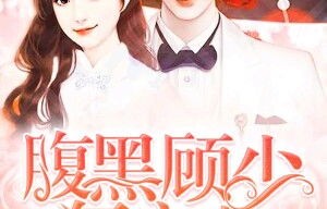 顾总宠妻记，夫人包养记