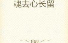 医心不渝，此长生——一部30集短剧的深度解读