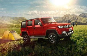 北汽40车图片及价格(bj40最严重的缺点)