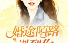 短剧婚途陌路——十五集情感之旅