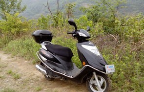 铃木摩托车官网旗舰店(铃木摩托车官方旗舰店价格表)