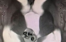 男子意外发现，牛头骨面具竟是盆骨