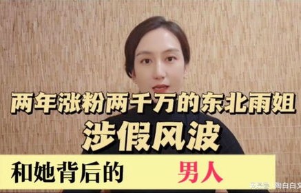 东北雨姐账号禁言事件，网络风波下的思考