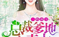 长篇故事一胎双宝，爹地宠妻要趁早——甜蜜的短剧人生