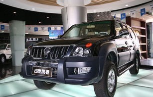 吉奥汽车(吉奥汽车是什么牌子)