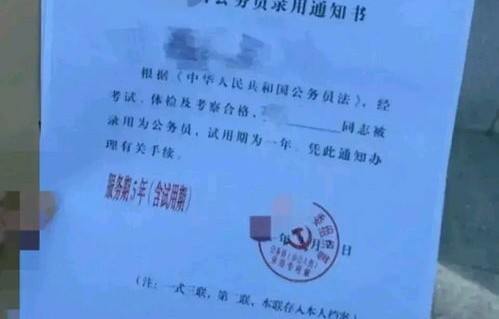 揭秘短剧谁偷取了我的录取通知书